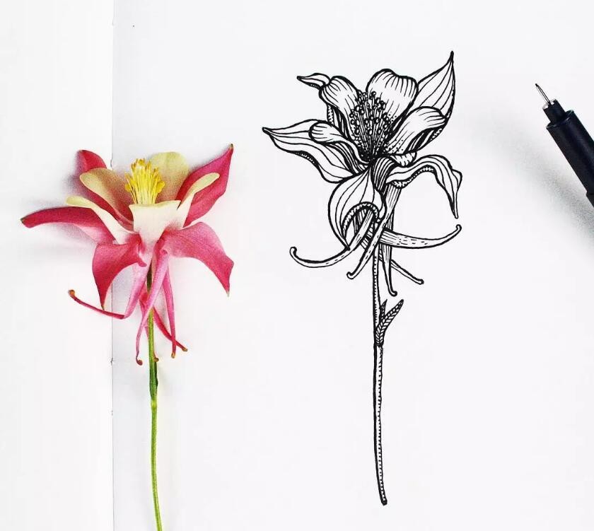 學習素描的幾大好處
